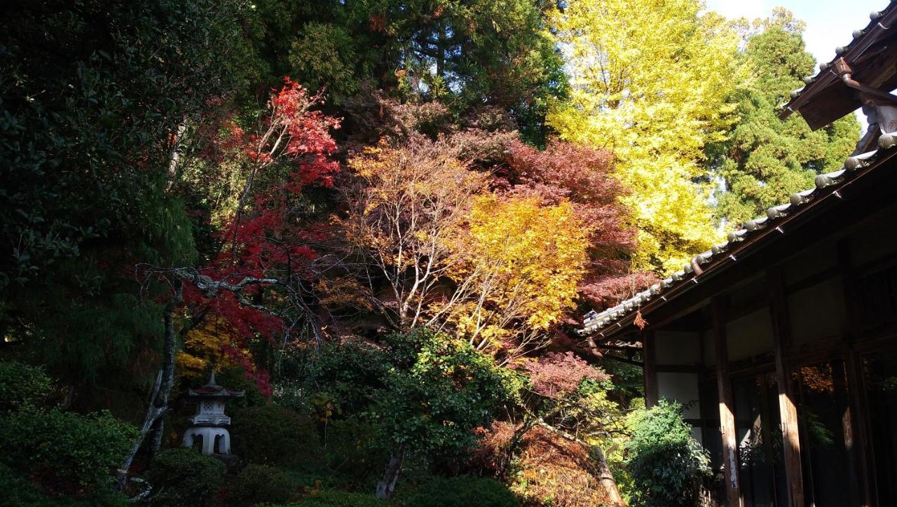 農家民宿 山いちご Echizen  Экстерьер фото